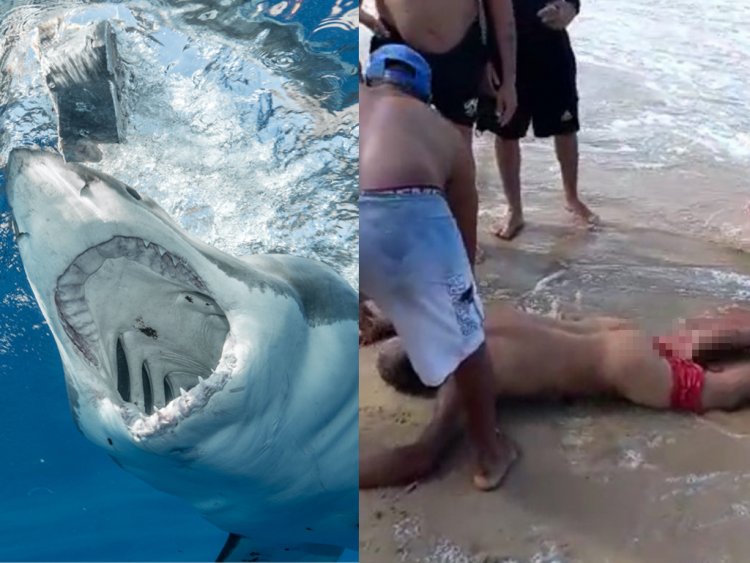 Marcelo Rocha Santos killed by shark while peeing