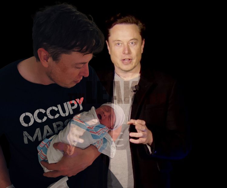The unspoken truth about Nevada Alexander Musk