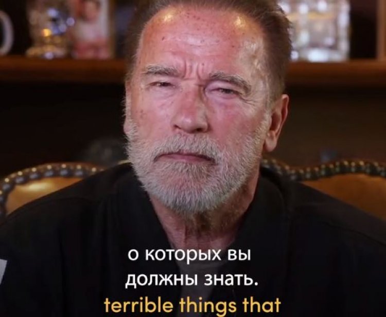 Arnold Schwarzenegger appeals to Vladimir Putin