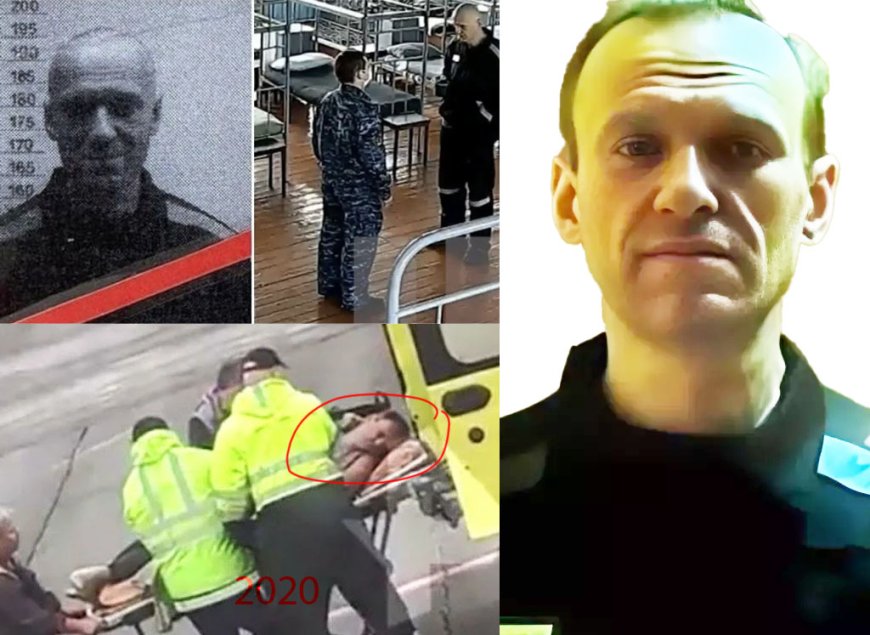 The body of Alexei Navalny
